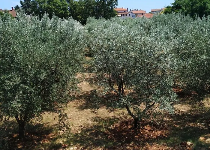 Vakantiehuis Ferienvilla Mit Privatem Pool By Interhome *